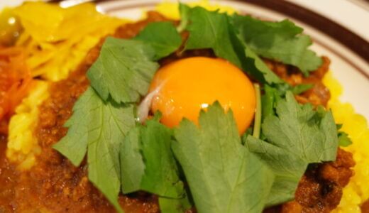 チキン＆キーマ2種盛りカレー｜ウミネコカレー（幡ヶ谷）