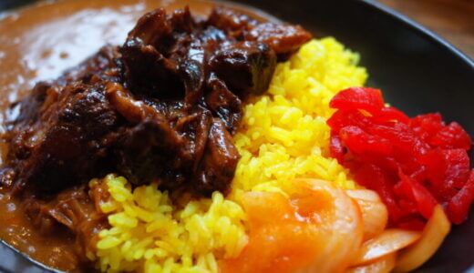 大煮豚カレー｜カリガリカレー（秋葉原）
