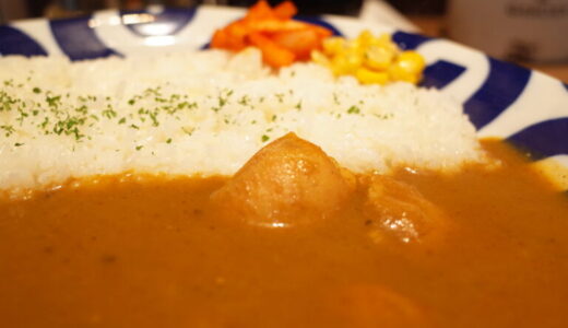 スパイシーチキンカレー｜スパイスカレーもん（御成門）