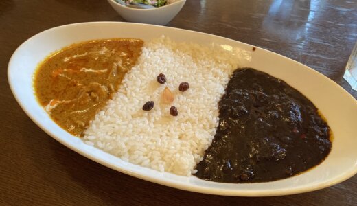 ビーフ＆ドライカレー｜VOVO（学芸大学）