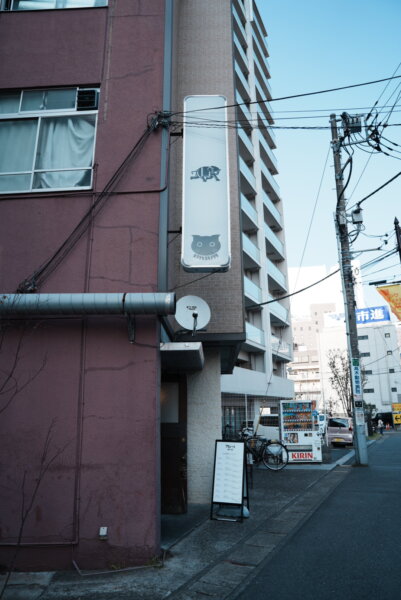 柏　ヒマラヤユキノシタ