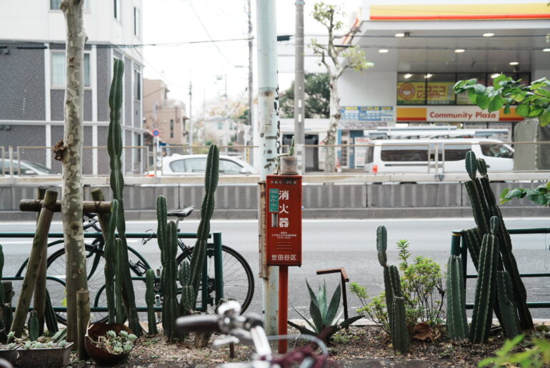 新代田 DAITASTORE（ダイタストア）