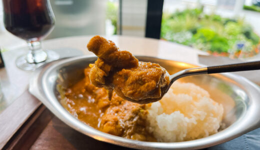 チキンシャクティカレー｜The Lounge（六本木）