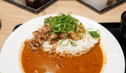 ねぎたっぷり牛肉スパイスカレー｜松屋