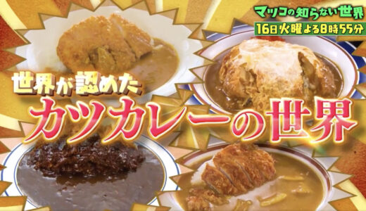 世界が認めたカツカレーの世界｜TBSマツコの知らない世界