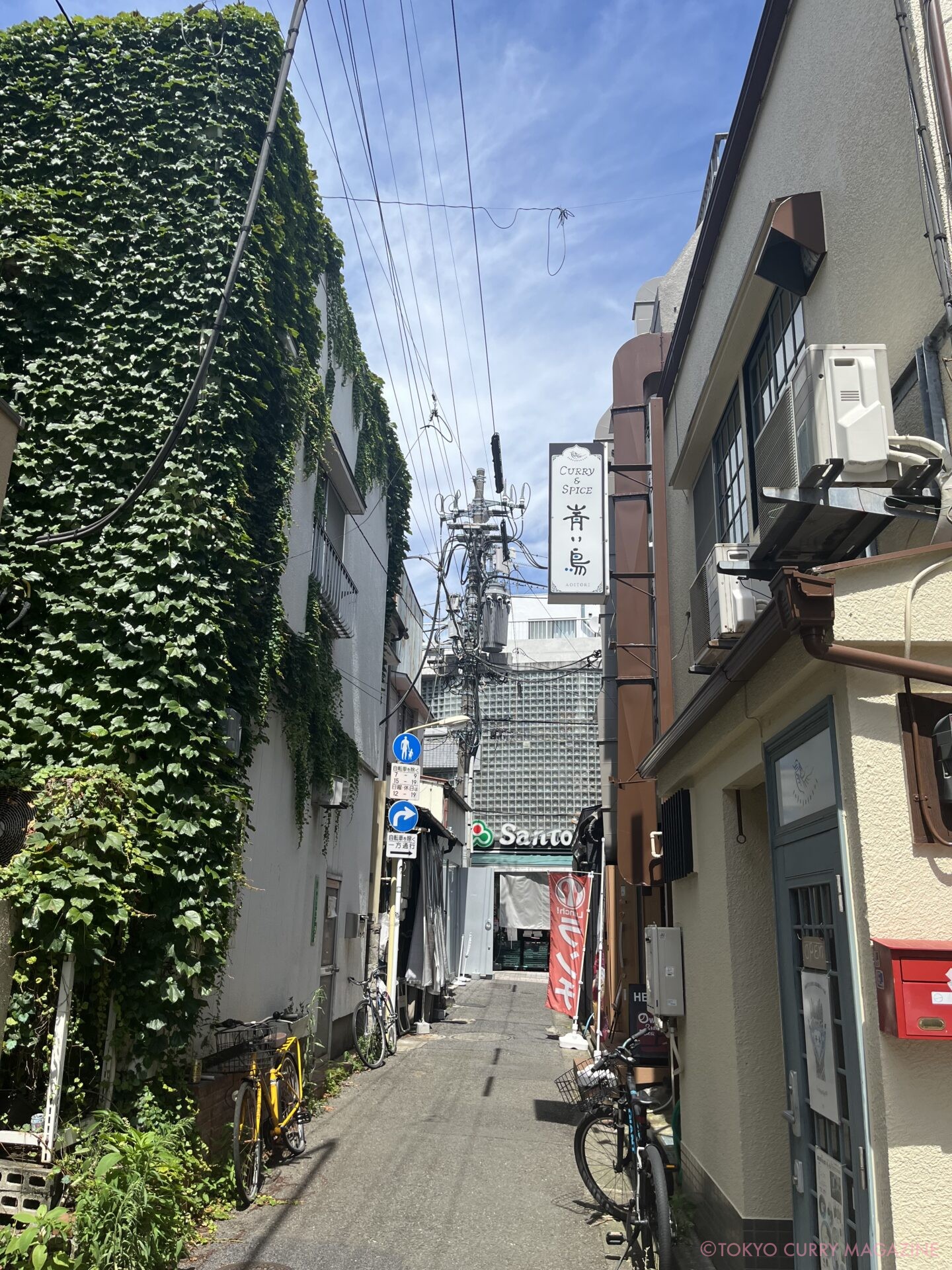青い鳥二種盛りカレー