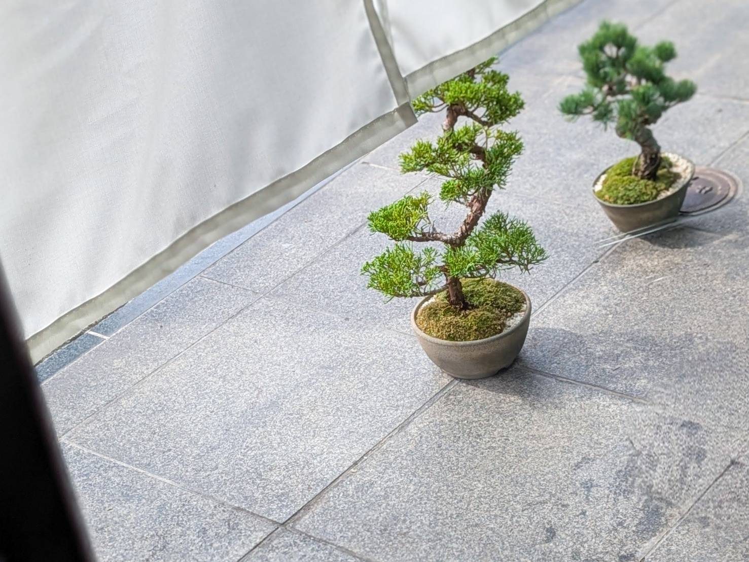 幕末カリー（神泉）