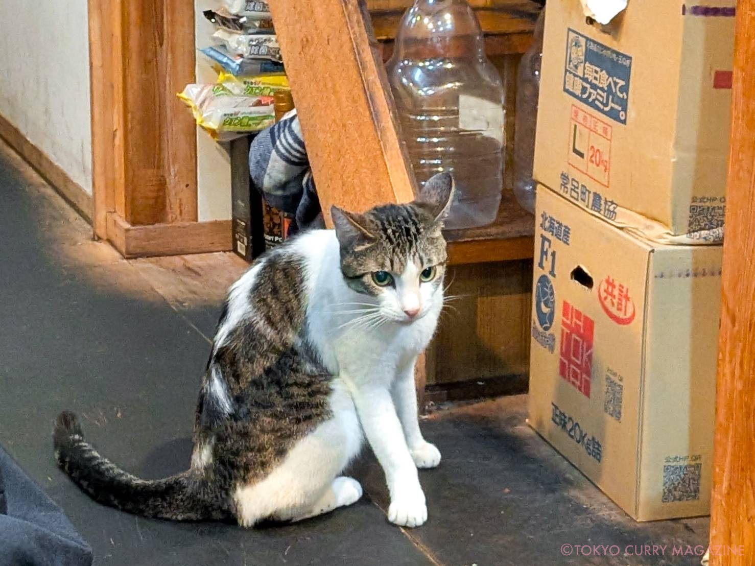 和漢香辛茶寮サハスラーラ