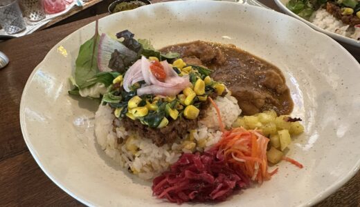 スカイツリー散策のあとに行きたい 薬膳スパイスカレー サハスラーラ