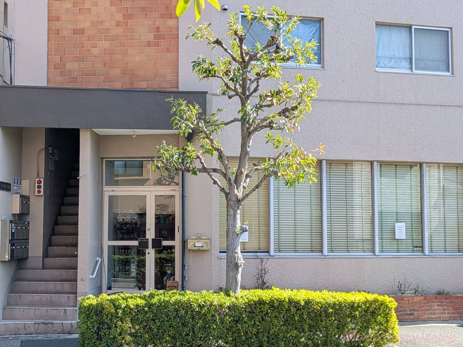 The Authentic Apartment(亀有)