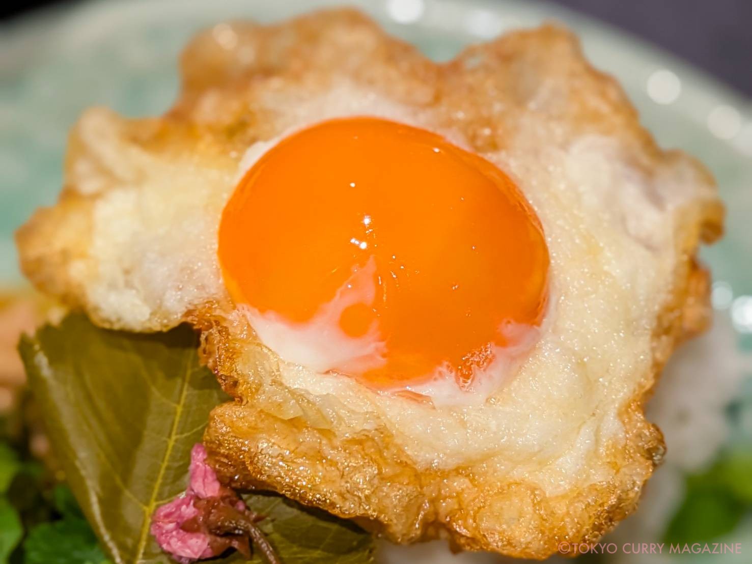 すっぽんとタイ料理 月島 源平（月島）