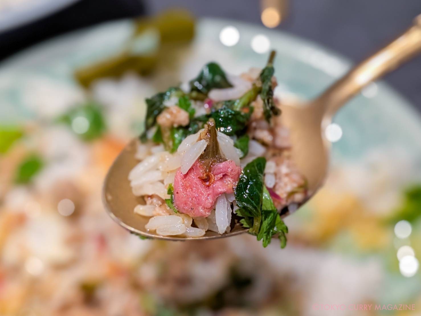 すっぽんとタイ料理 月島 源平（月島）