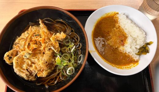 900円で「本格インドカレー×特大かき揚げそば」の欲張りセット！有楽町「よもだそば」の半よもだカレーが額に汗かく辛さだった件