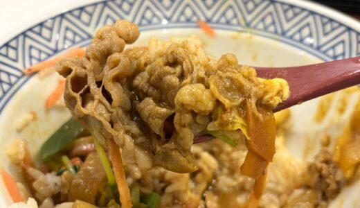 吉野家「牛カレー鍋膳」肉2倍盛りを食べてきた！食べ方に迷いすぎて最終的に牛カレー丼になった件｜有楽町駅前店